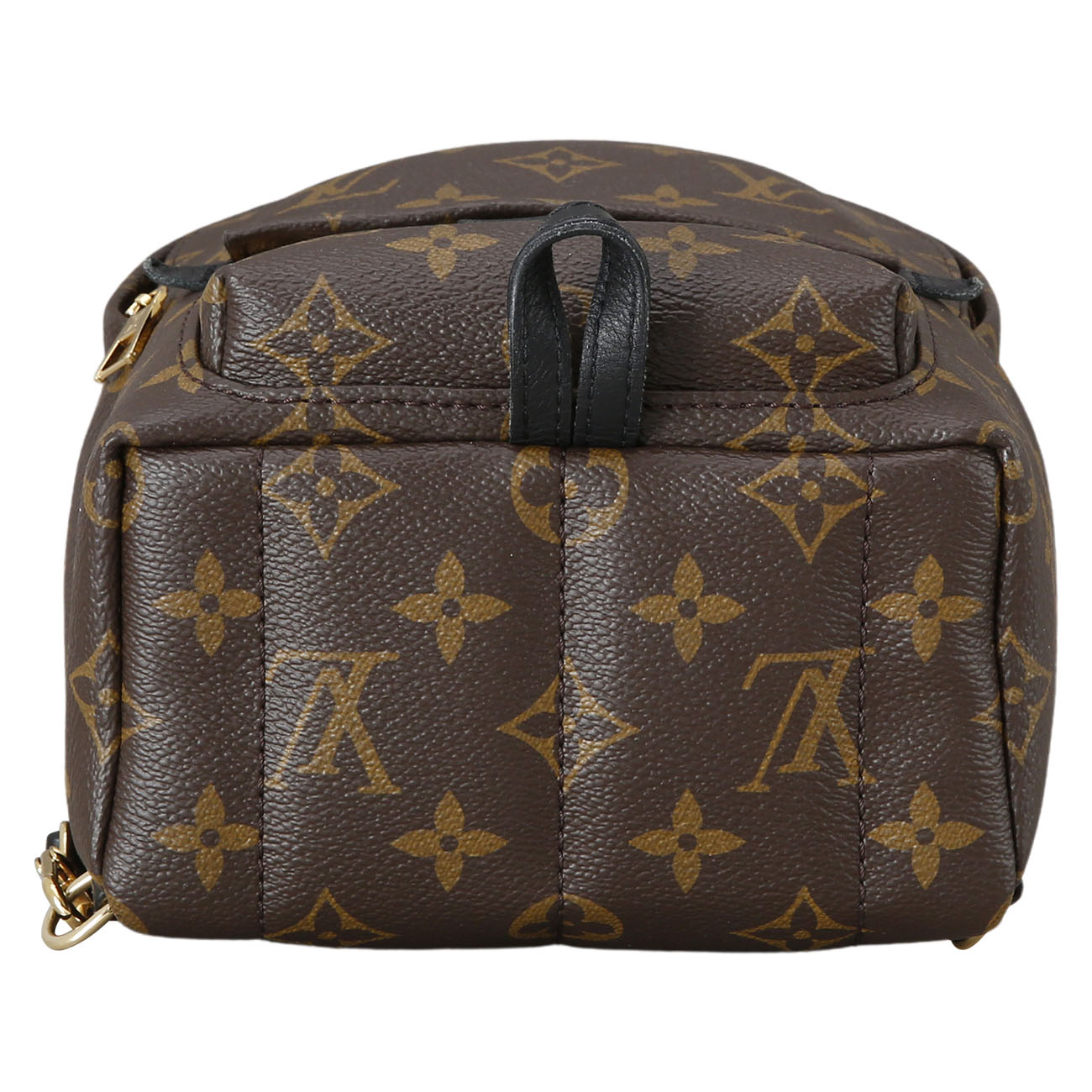 LOUIS VUITTON(USED)루이비통 팜 스프링스 미니 백팩